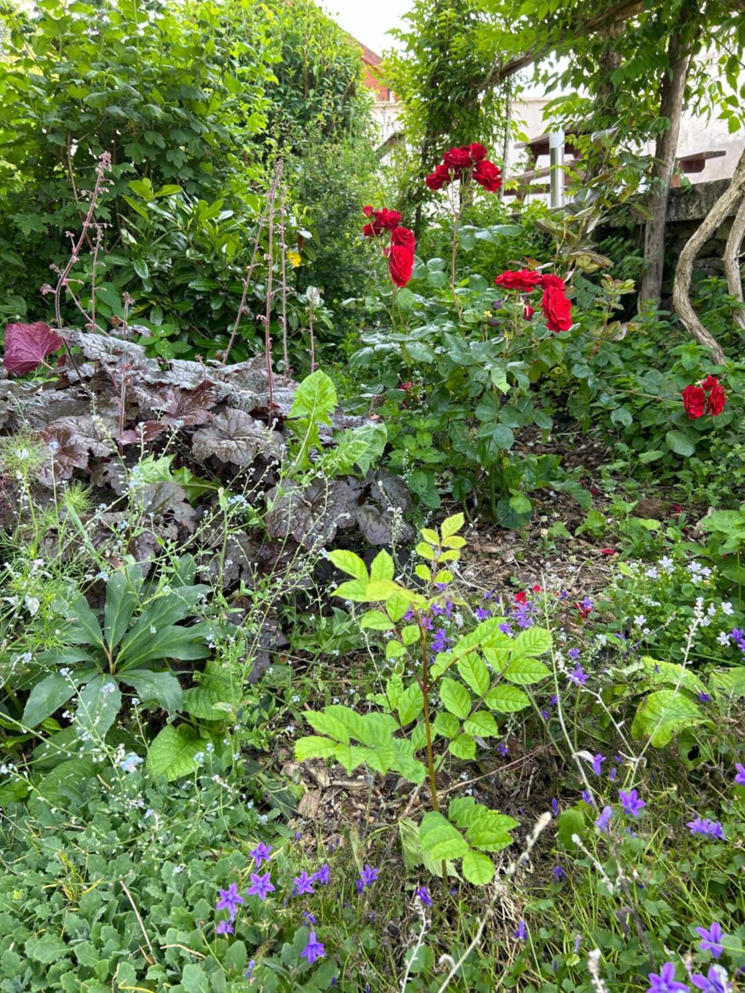 Pivoine Chambre D Hotes Fralignes Esterno foto