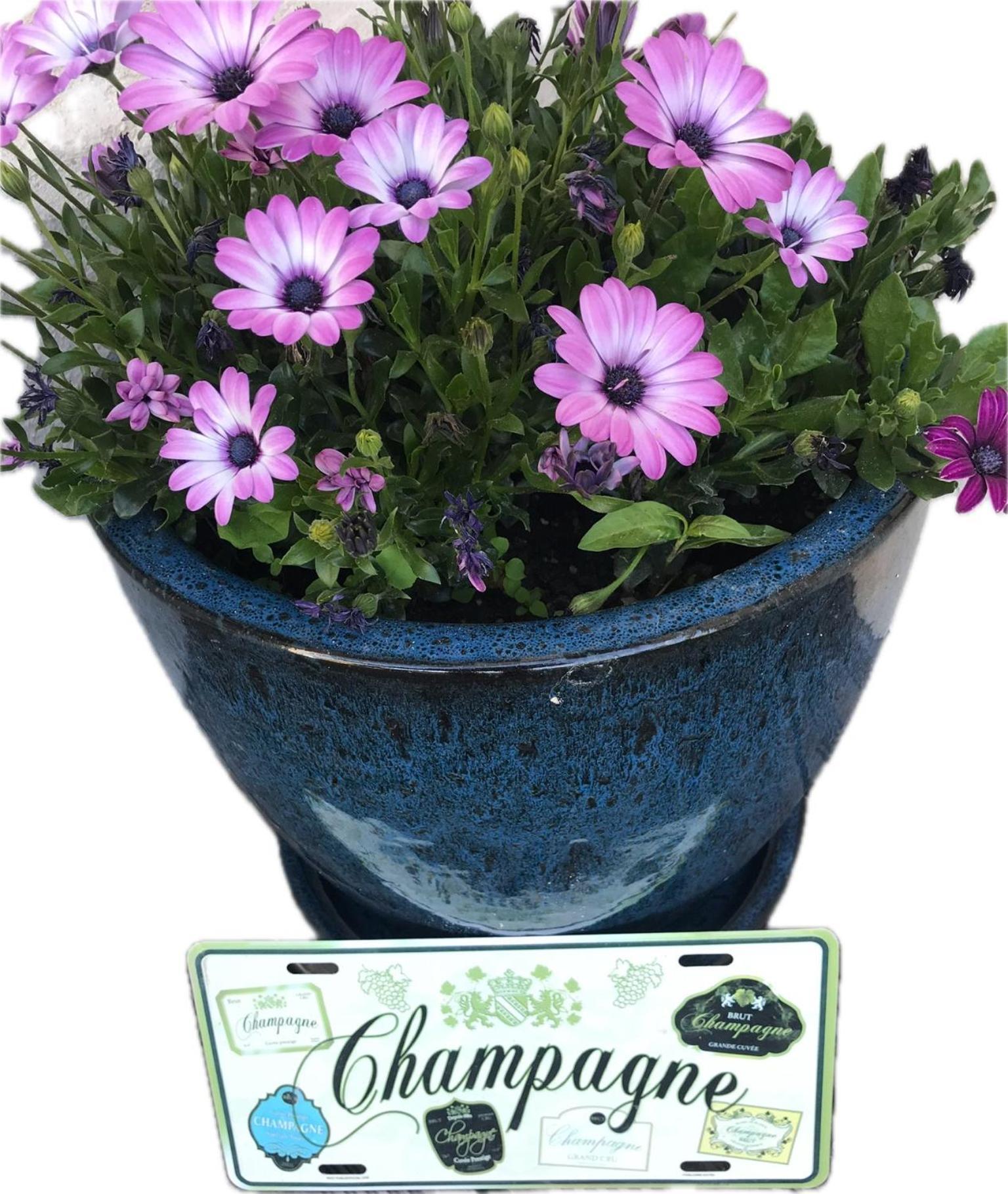 Pivoine Chambre D Hotes Fralignes Esterno foto