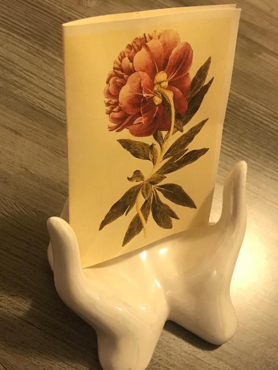 Pivoine Chambre D Hotes Fralignes Esterno foto